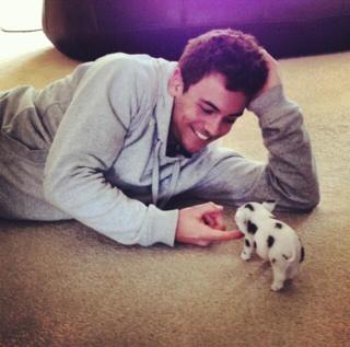 Tom Daley with his new micro pig