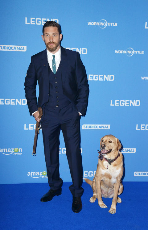 Tom Hardy's final CBeebies Bedtime Story was a fitting tribute to his dog Woody on National Dog Day