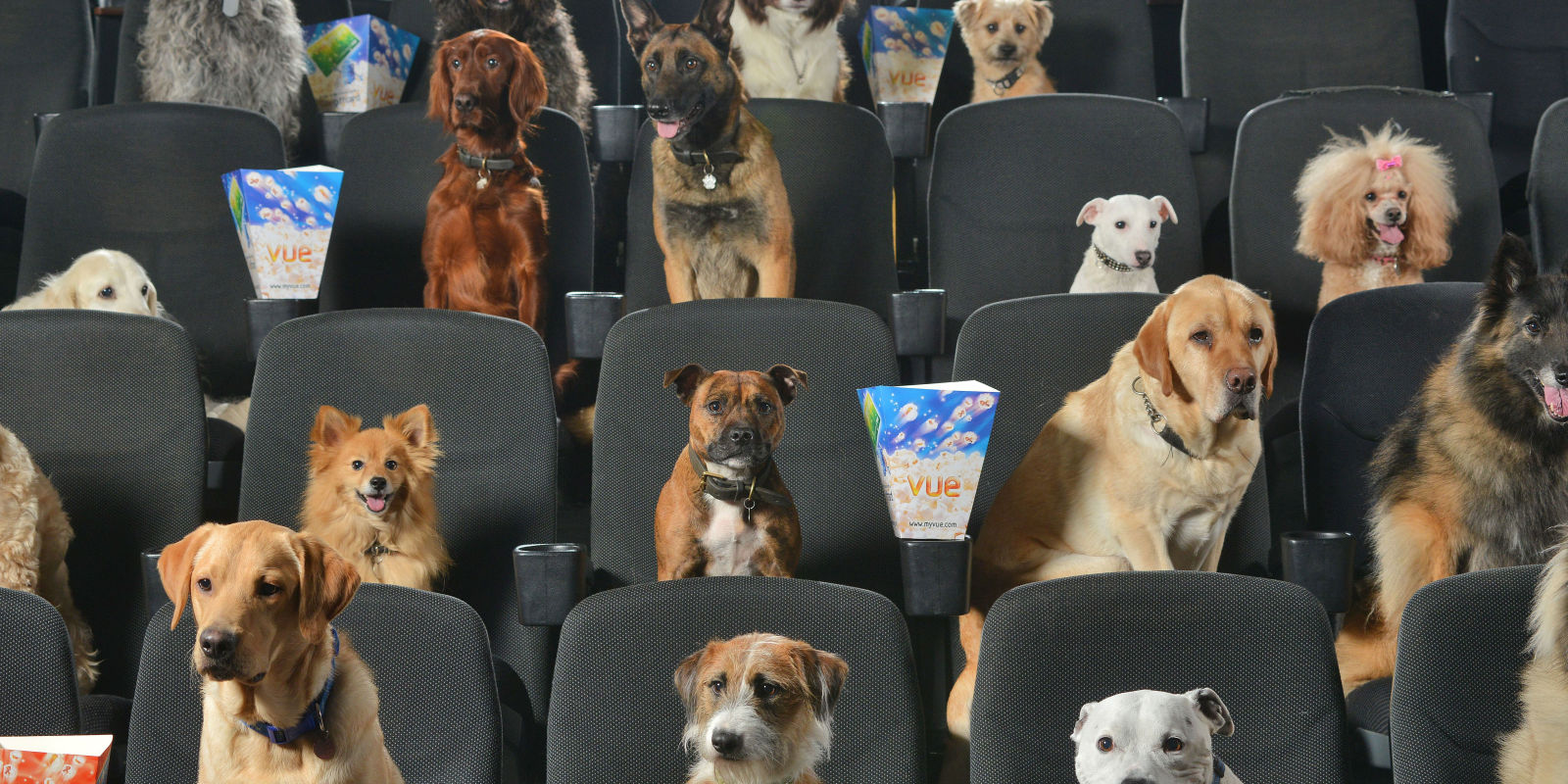 The very first Dog Film Festival comes to LA