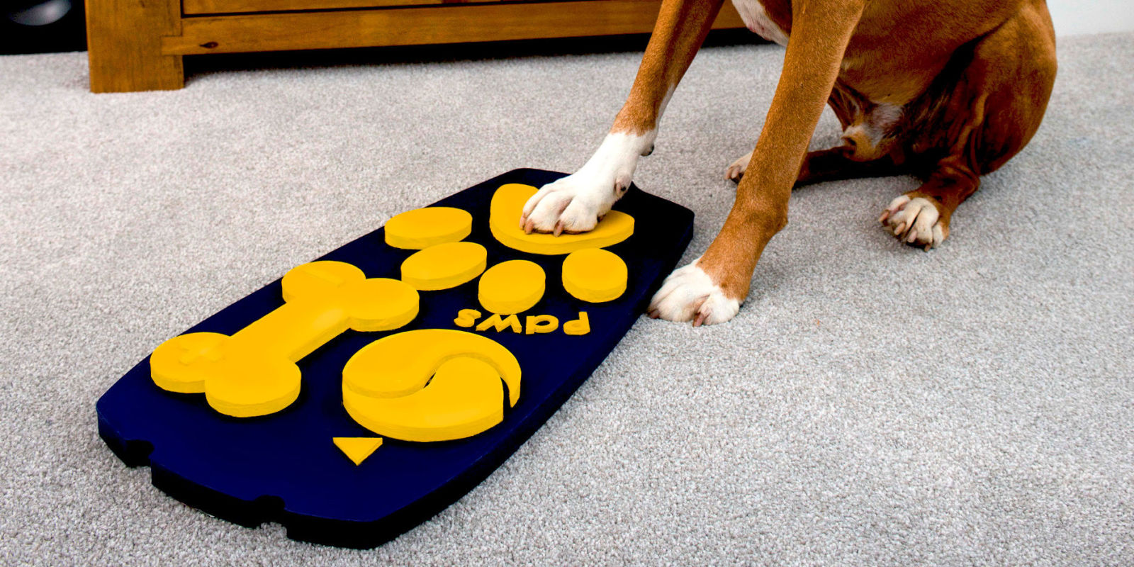 World's first dog TV remote is launched to give canines the control