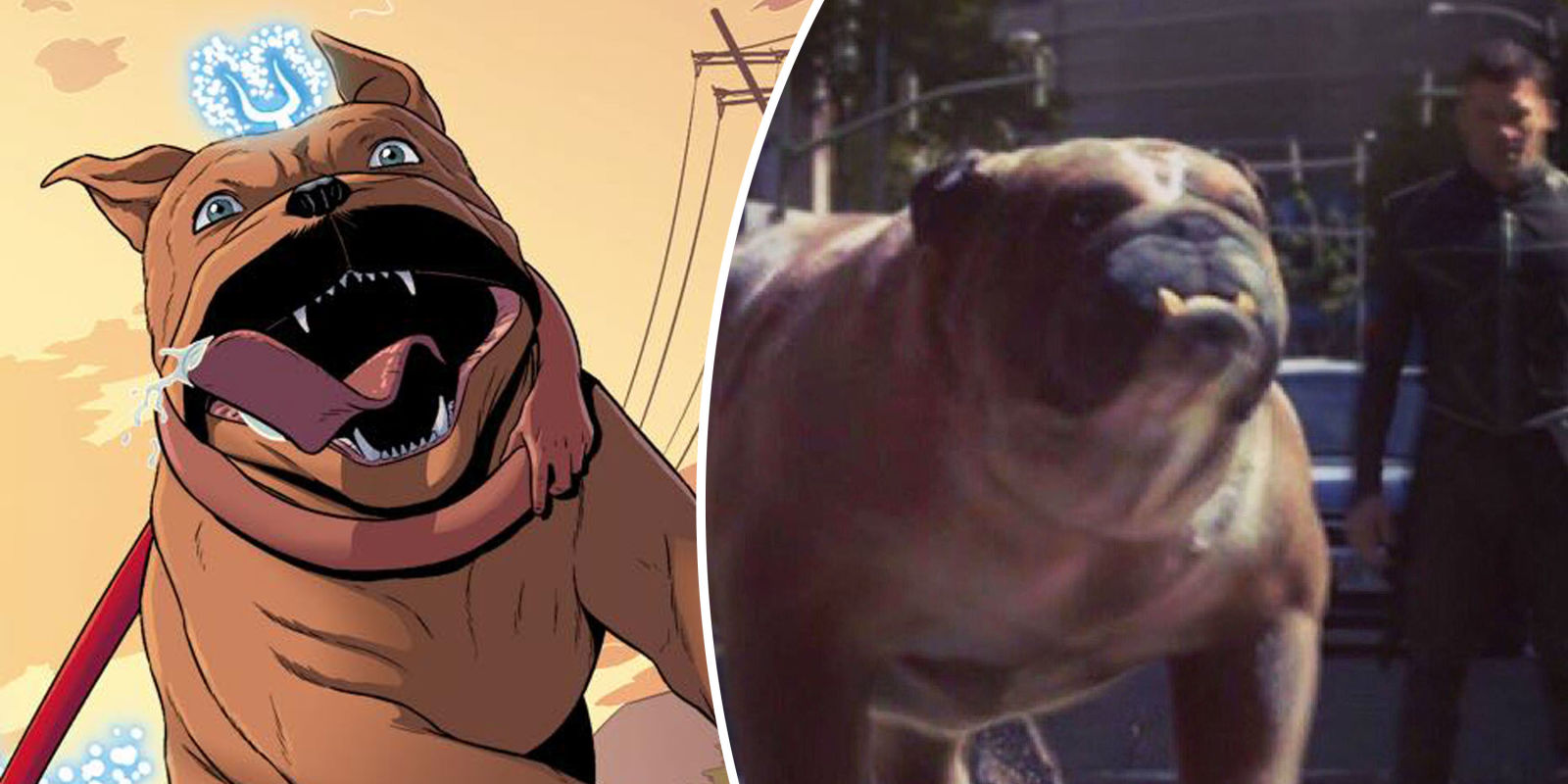 First look at Marvel's Inhumans' Lockjaw leaks