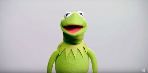 Kermit the Frog