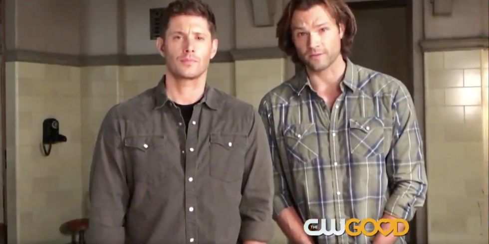 Young tyson and taylor suck some cock Vic top male celebrity fakes jensen ackles fake