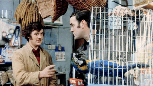 gallery-1516637811-monty-python.jpg