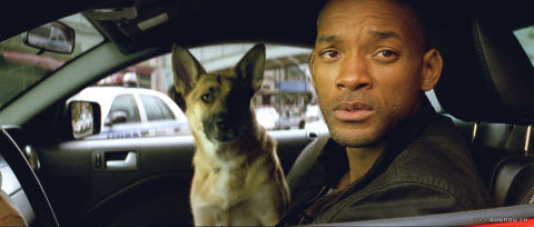Will Smith and his dog in I am Legend